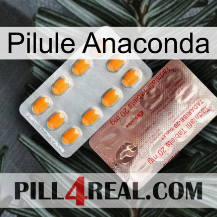 Anaconda Pill new13